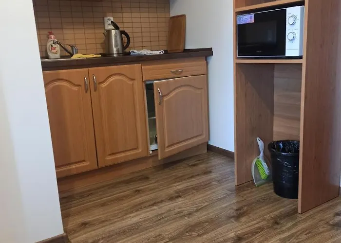 U Kmotra 3* Borovany (Ceske Budejovice)