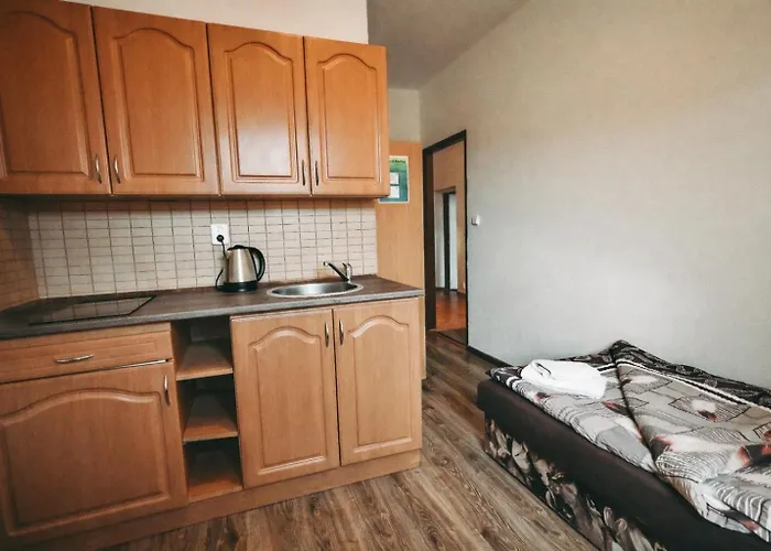 U Kmotra شقة فندقية Borovany (Ceske Budejovice)