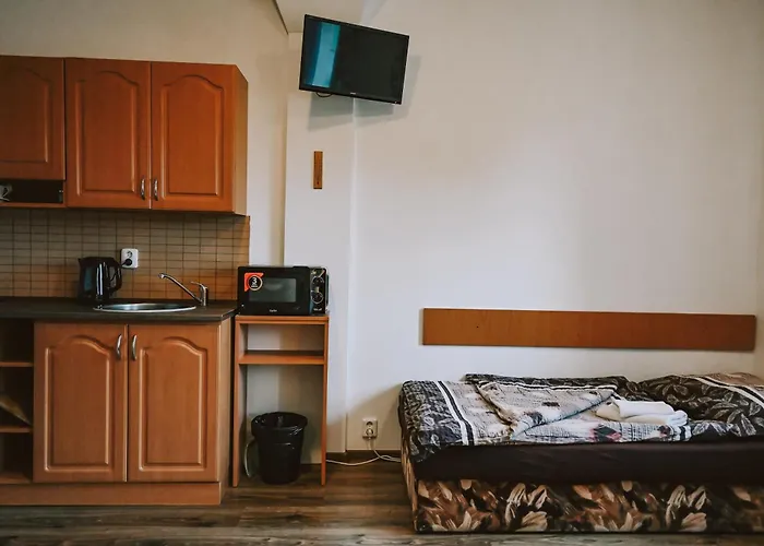 شقة فندقية U Kmotra